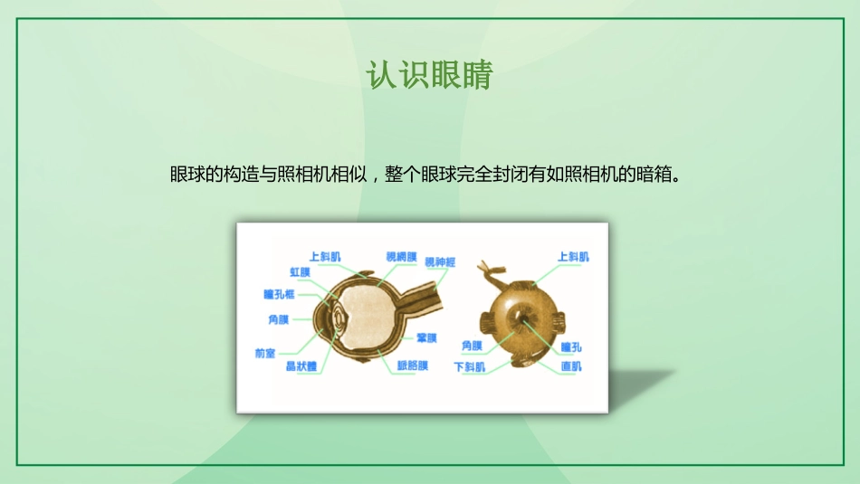 保护视力预防近视_第7页