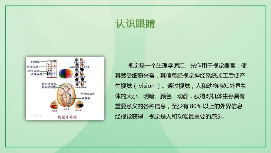 保护视力预防近视_第8页