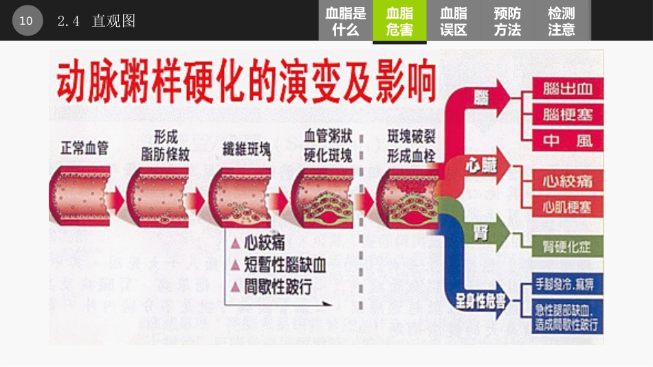 血脂讲座PPT课件_第10页