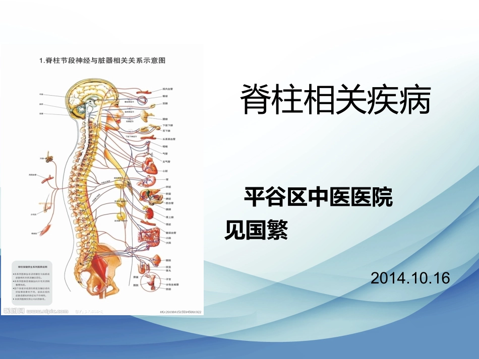脊柱相关疾病-残联讲座_第10页