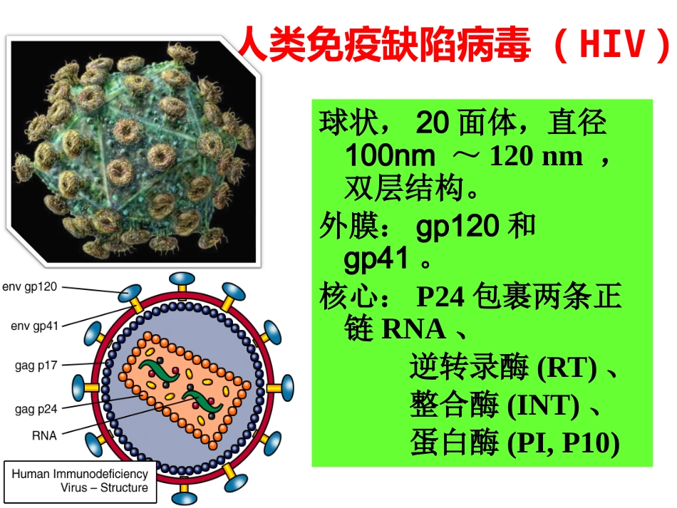 艾滋病防治知识健康讲座_第5页