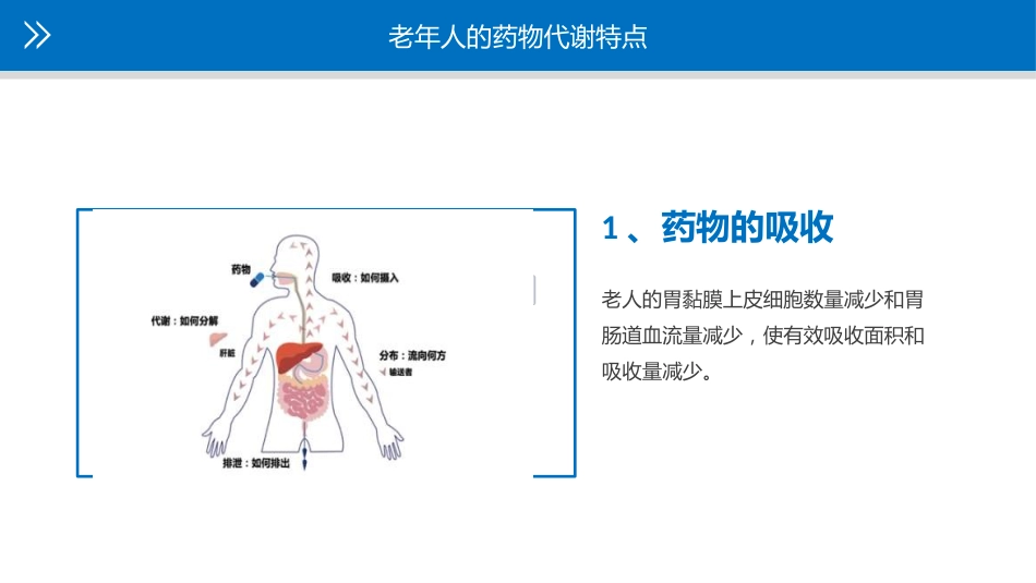 老年人安全用药知识宣教_第4页