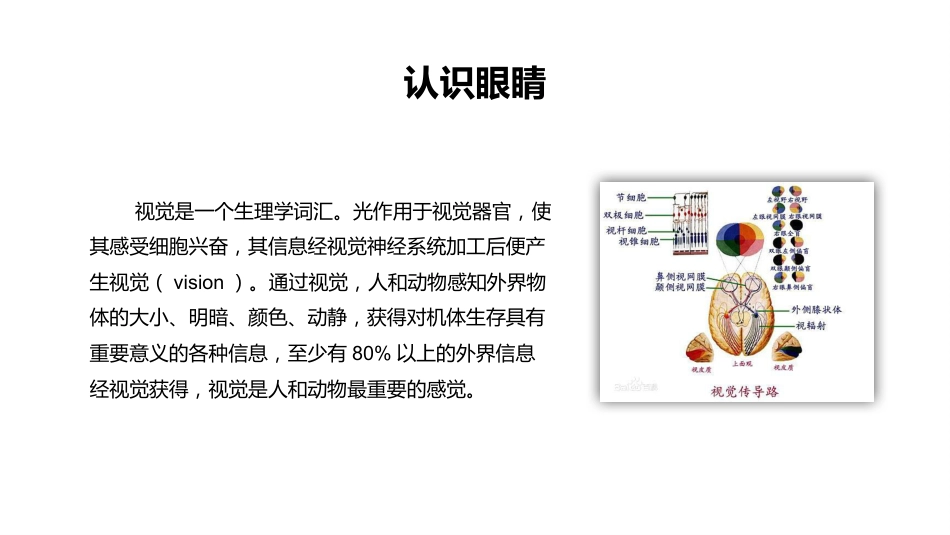 保护眼睛预防近视PPT(1)_第9页
