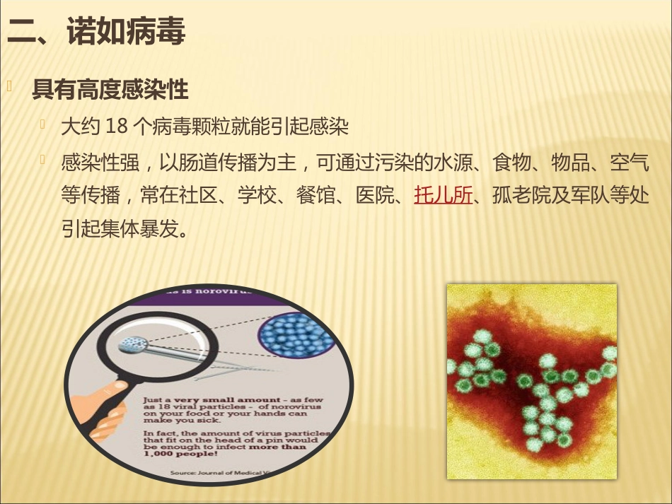 诺如病毒防治讲座_第5页