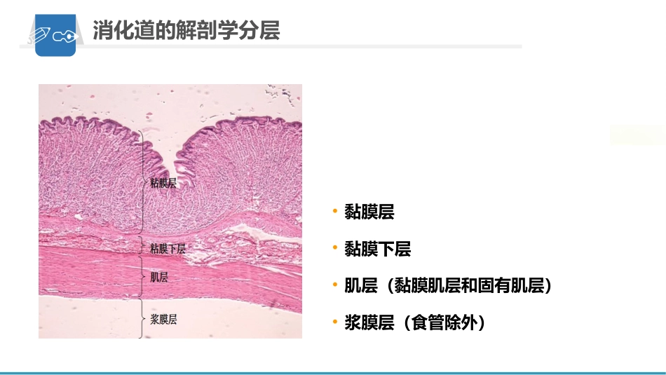 内镜下粘膜剥离术(ESD)护理要点及健康教育_第6页