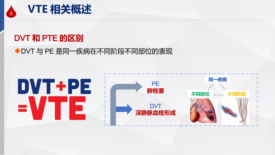 患者静脉血栓栓塞症防控策略_第12页