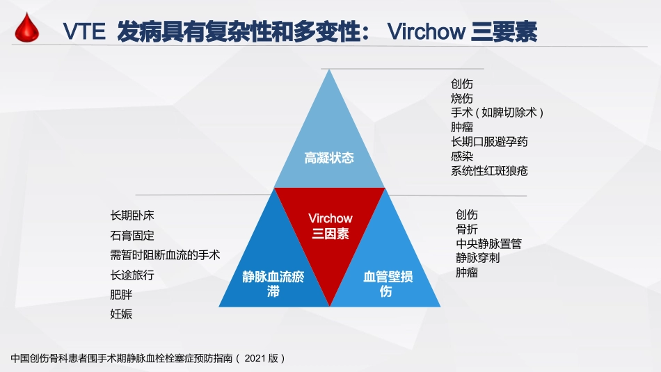 患者静脉血栓栓塞症防控策略_第13页