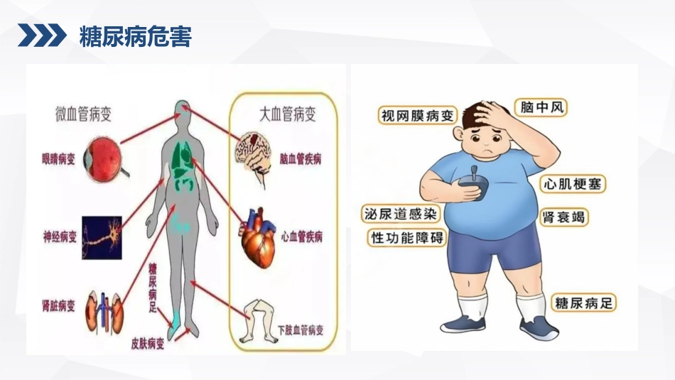 糖尿病的健康宣教_第8页