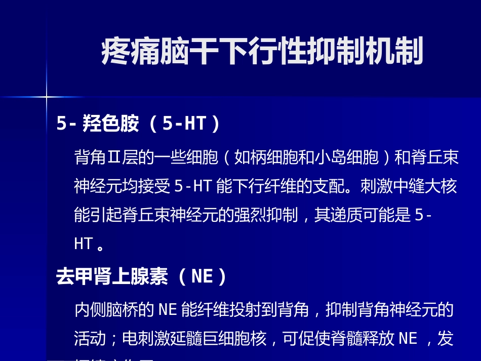 疼痛科普讲座_第11页