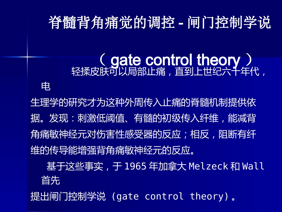 疼痛科普讲座_第13页