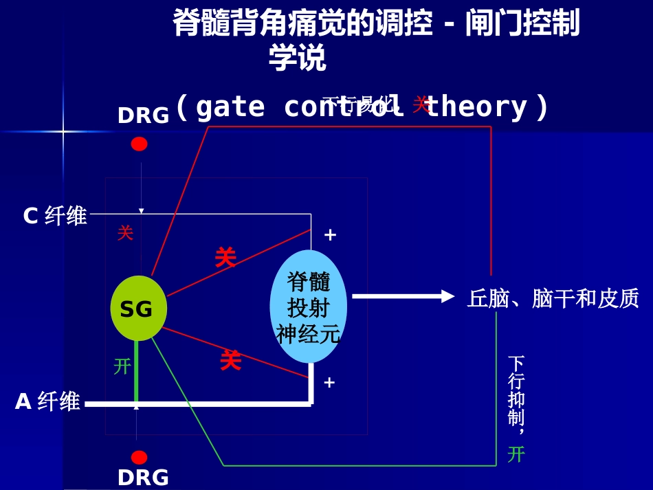 疼痛科普讲座_第14页