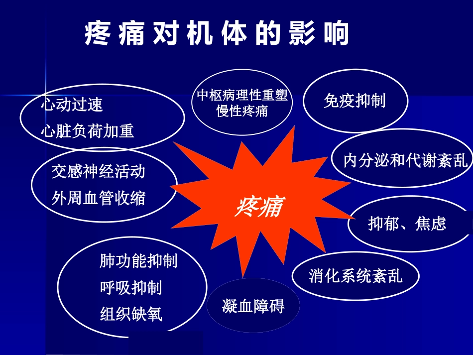 疼痛科普讲座_第15页