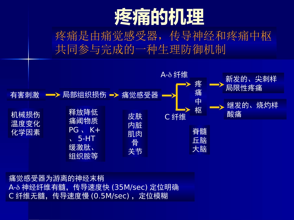疼痛科普讲座_第8页