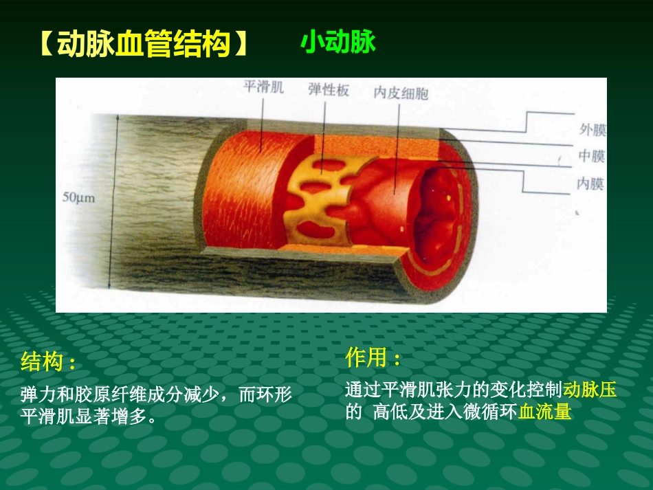健康讲座动脉血管粥样硬化_第10页