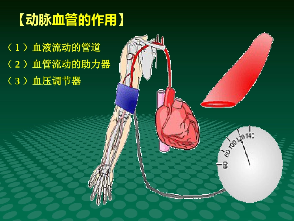 健康讲座动脉血管粥样硬化_第11页