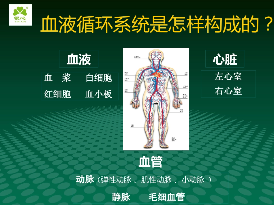 健康讲座动脉血管粥样硬化_第3页