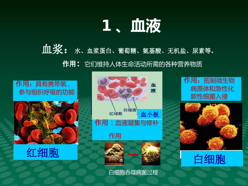 健康讲座动脉血管粥样硬化_第4页