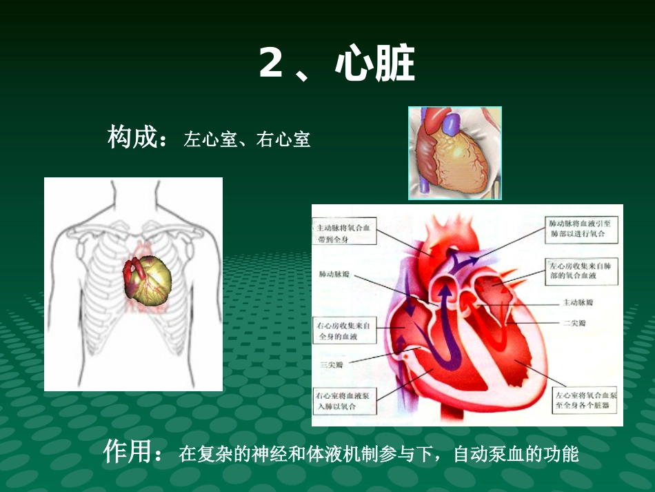 健康讲座动脉血管粥样硬化_第5页