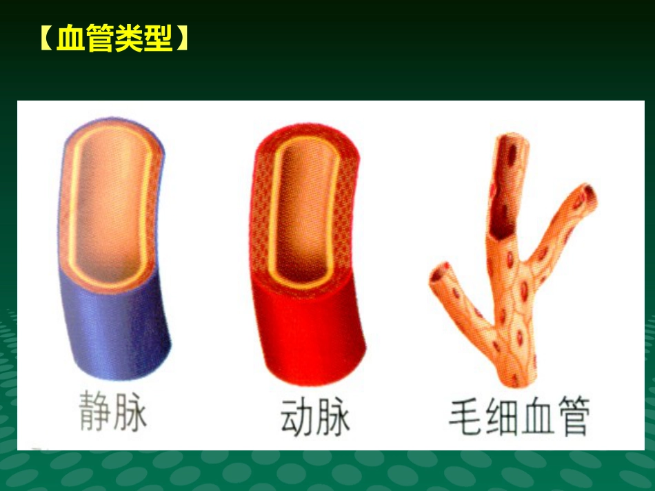 健康讲座动脉血管粥样硬化_第7页