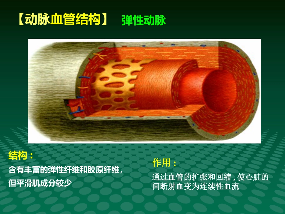 健康讲座动脉血管粥样硬化_第8页