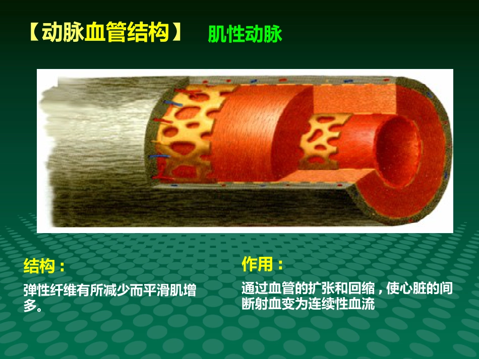 健康讲座动脉血管粥样硬化_第9页