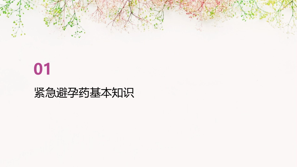 服用紧急避孕药的健康宣教PPT课件_第3页