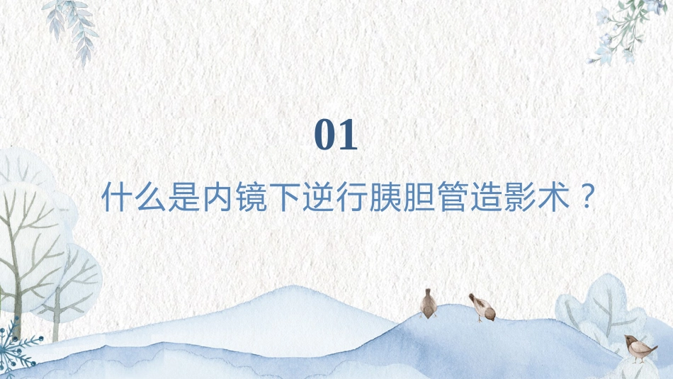 内镜下逆行胰胆管造影术(ERCP)健康宣教PPT课件_第3页