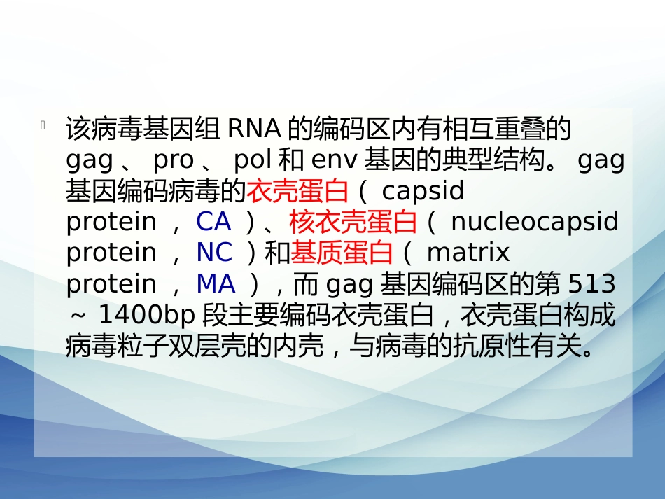内源性逆转录病毒专题讲座_第4页
