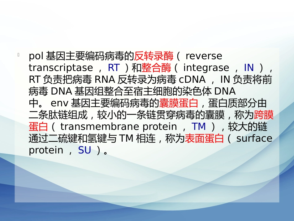 内源性逆转录病毒专题讲座_第6页