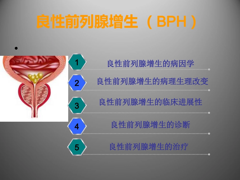 前列腺疾病讲座_第15页