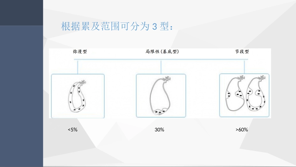 胆囊腺肌症超声PPT小讲座_第8页