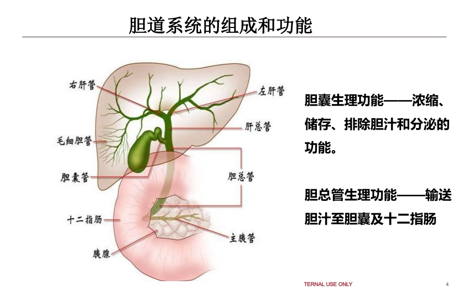 胆结石和泌尿系结石健康教育_第4页