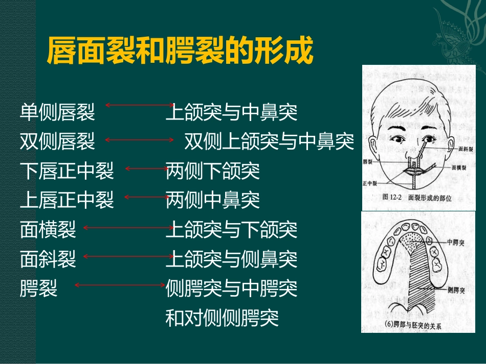 唇裂讲座_第7页