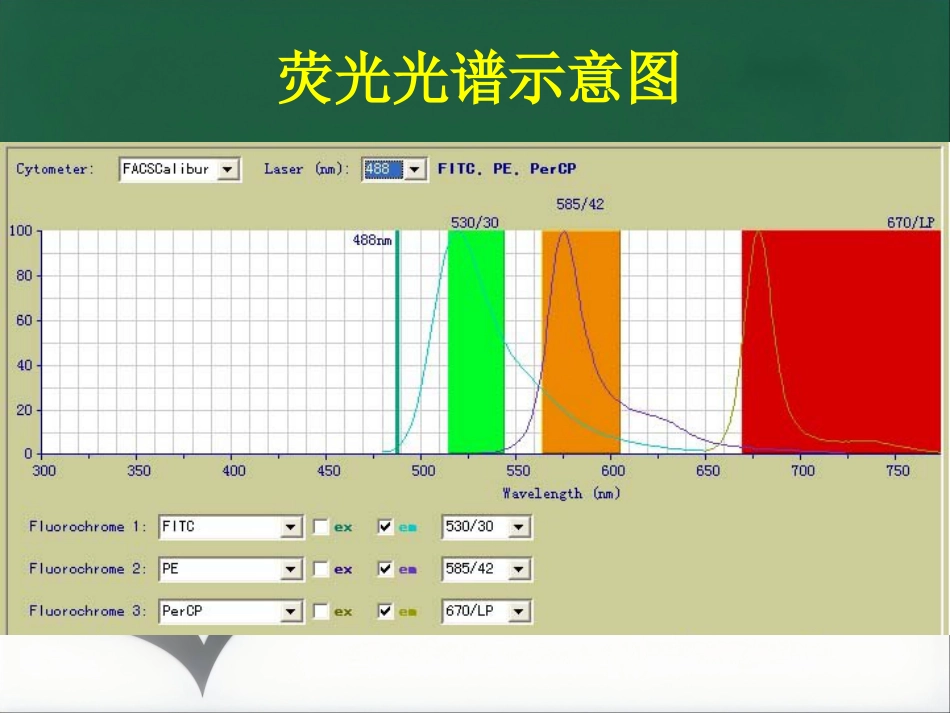 流式细胞检测技术讲座_第13页