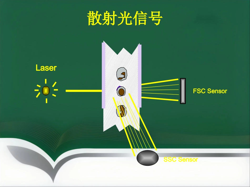 流式细胞检测技术讲座_第15页