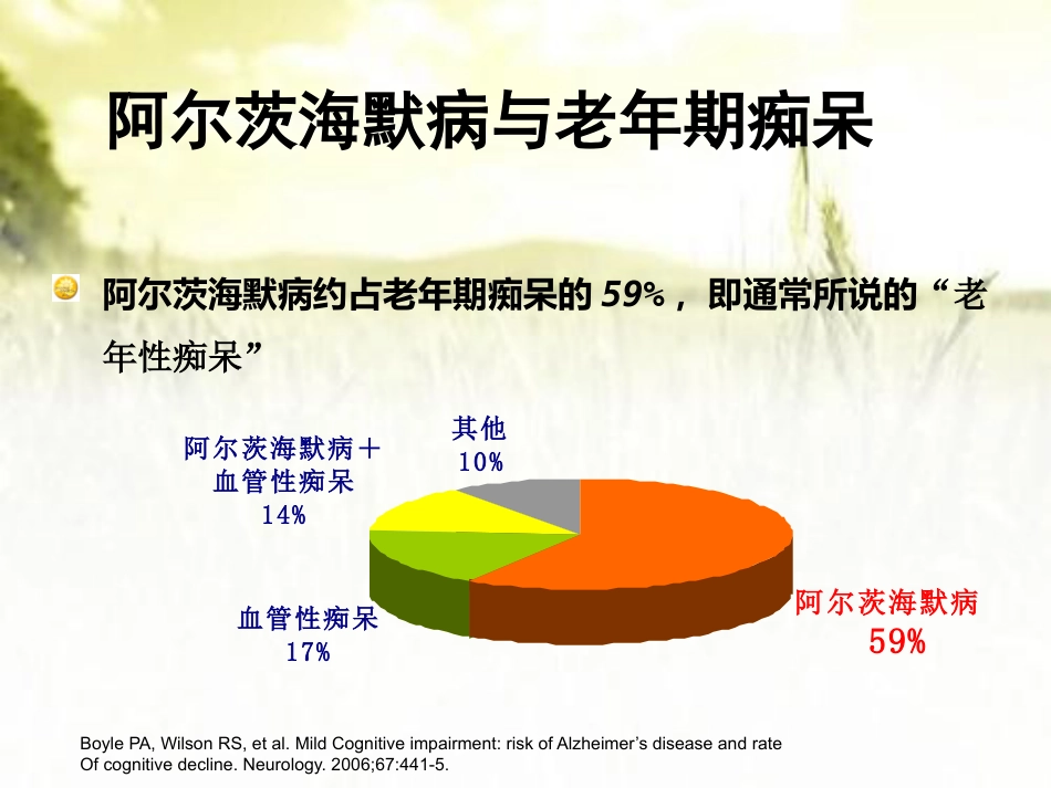 阿尔茨海默病健康讲座ppt_第12页