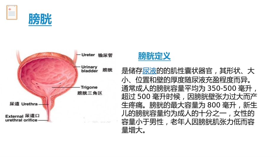 卧床病人膀胱功能训练健康宣教_第4页