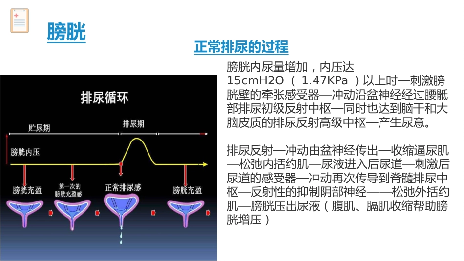 卧床病人膀胱功能训练健康宣教_第6页