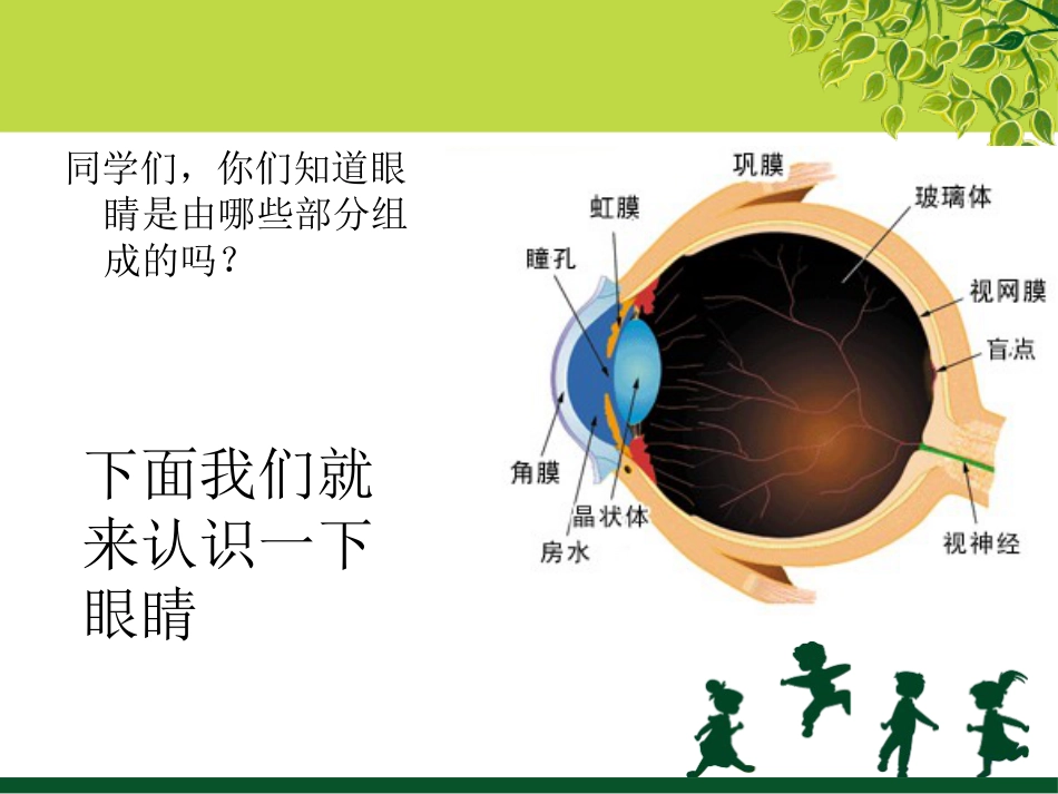 保护视力预防近视概述_第7页