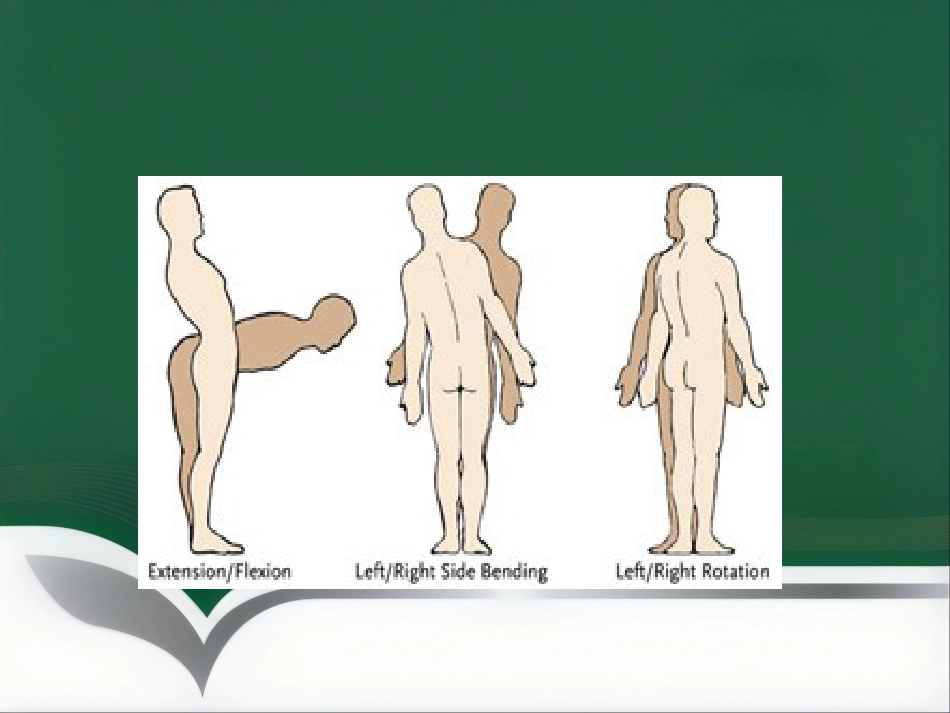 腰腿痛健康讲座_第6页