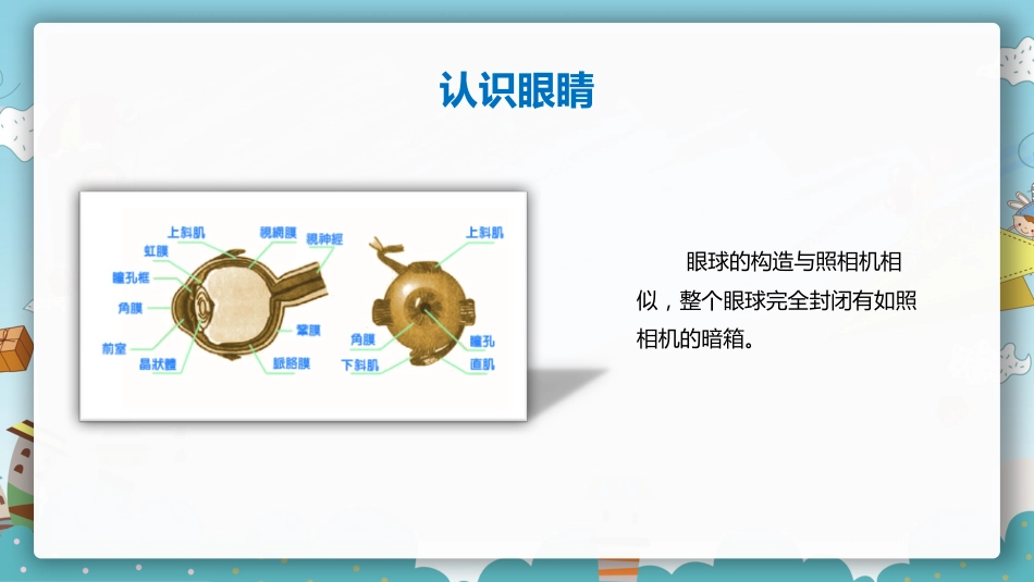 保护眼睛预防近视PPT课件_第8页