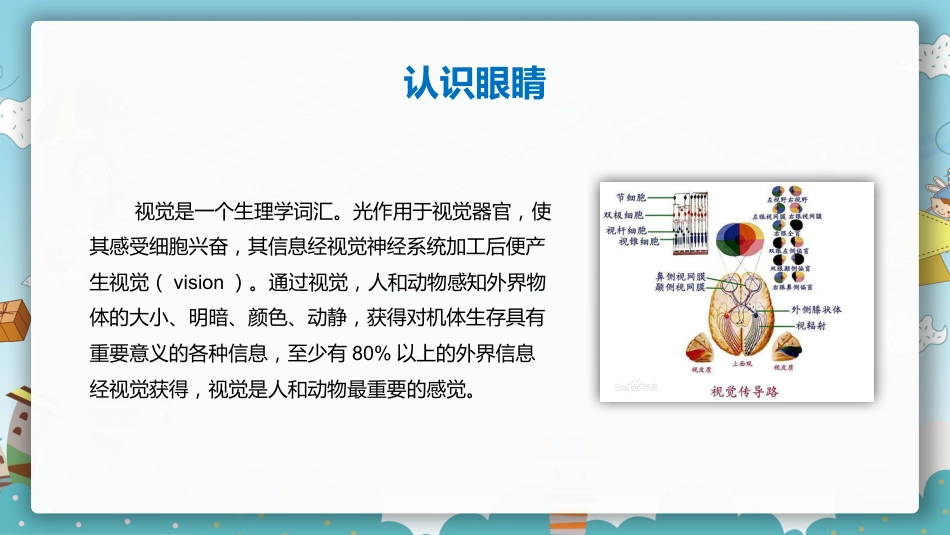 保护眼睛预防近视PPT课件_第9页