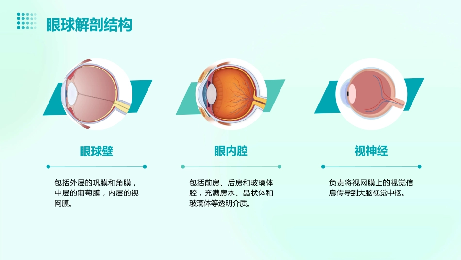 2024年度优质预防近视保护眼睛ppt课件_第9页