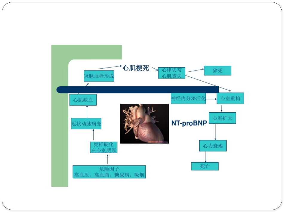 冠心病中医健康教育_第12页
