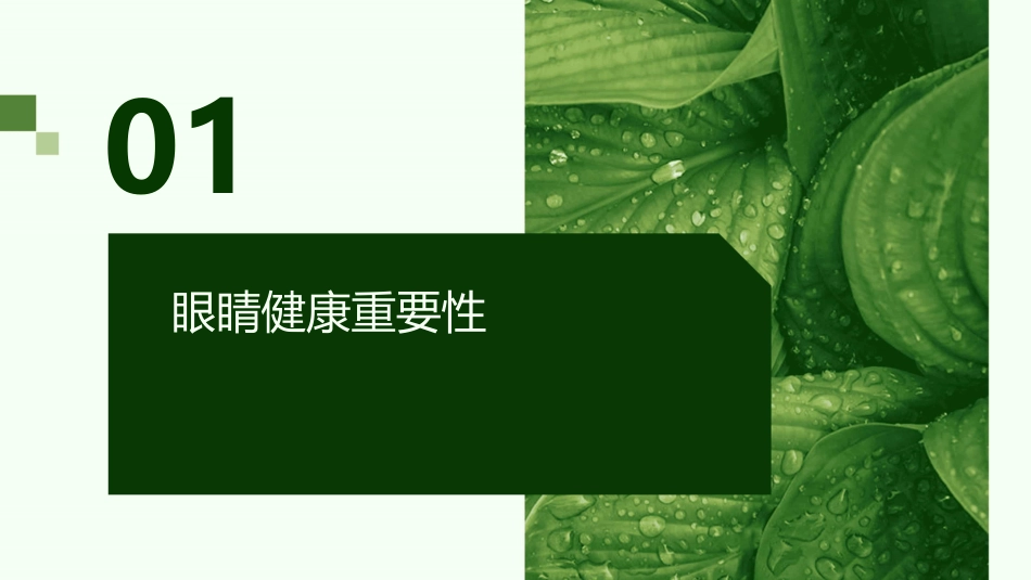 爱护眼睛从我做起ppt课件_第3页