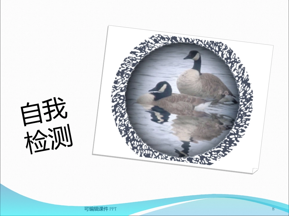 糖尿病健康知识宣教ppt课件_第8页