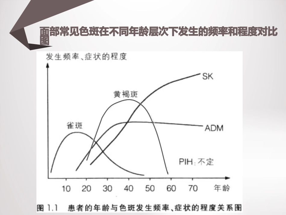 祛斑讲座课件_第11页
