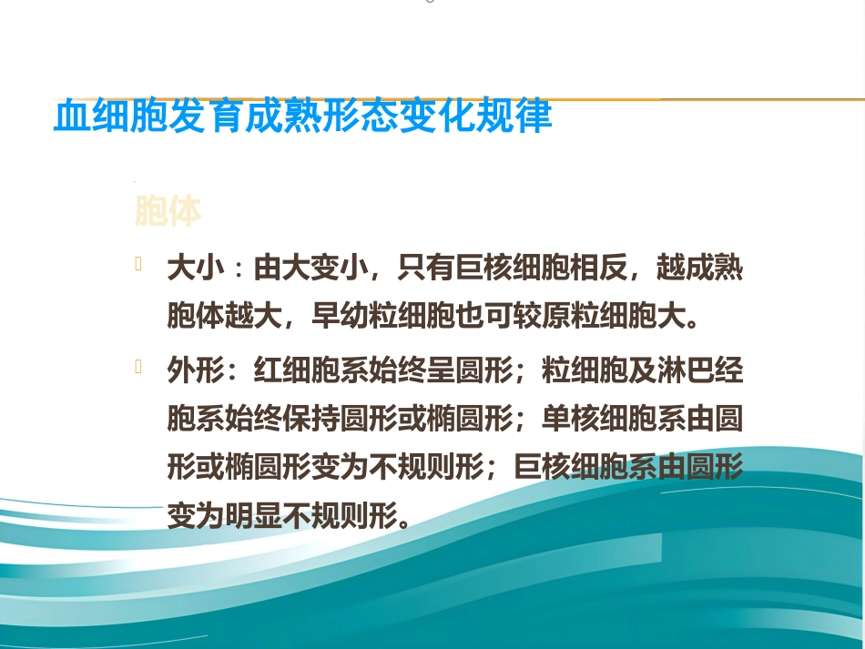 血液学基础讲座ppt课件_第5页