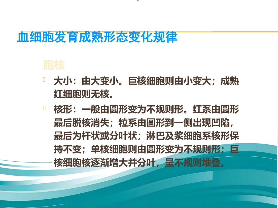 血液学基础讲座ppt课件_第6页