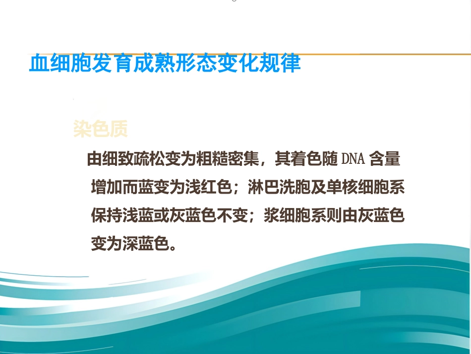 血液学基础讲座ppt课件_第7页